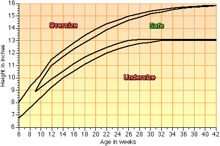 Sheltie Weight Chart